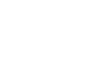 FDC Partner logo